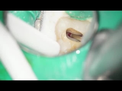 Uso dental dental de RA Burs Tungsten Carbide Burs de poca velocidad